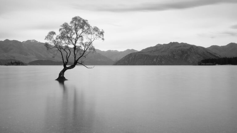 New Zealand In Black and White